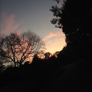 Meet your Posher, Carolina